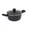 Puodas Russell Hobbs RH03265EU7 24 cm žalias nelimpantis