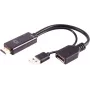 Adapteris HDMI A į DisplayPort ShiverPeaks 4K 60Hz 20 cm kabelio keitiklis