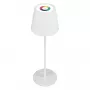LED stalinė lempa RealPower TableLight 360 RGB 3W IP44 1800 mAh