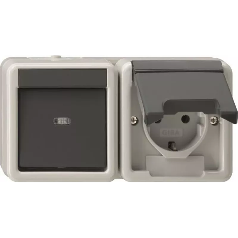 GIRA 417730 combination switch/socket outlet horizontal K (417730)