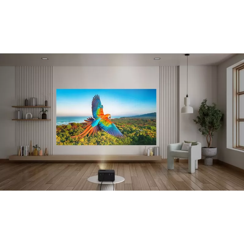 Optoma Photon Life PK32 standartinio metimo projektorius 1100 ANSI liumenų DLP UHD 4K (3840x2160) 3D Juoda