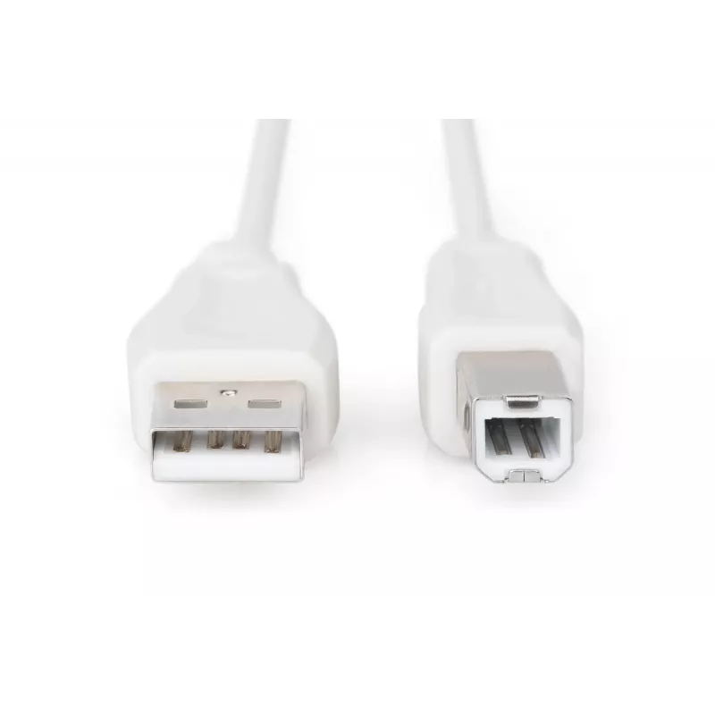 Assmann USB jungiamasis kabelis, A–B tipo, kištukas/kištukas, 3,0 m, USB 2.0, UL, smėlio spalvos (AK-300102-030-E)