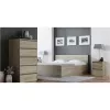 Topeshop K2 SONOMA nightstand/Naktinis staliukas 2 stalčius(s) ąžuolas