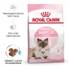 Sausas kačių maistas Royal Canin Mother & Babycat 2 kg — vištiena, nėščioms, žindančioms katėms ir kačiukams (jaunikliams)