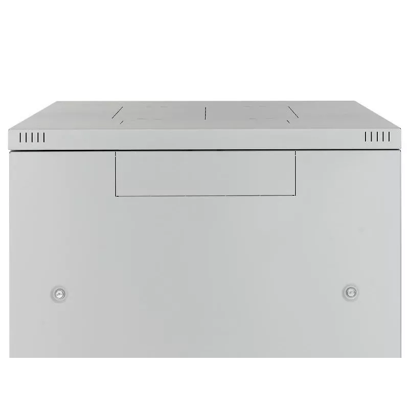 Triton RMA-42-A68-CAX-N1 stovo spinta 42U Laisvai stovinti spinta Pilka