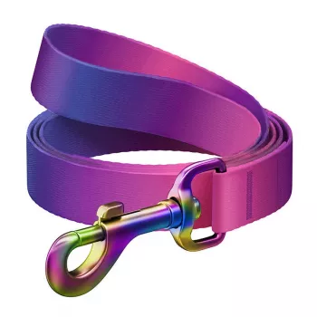 WAUDOG gradientinis nailoninis šuns pavadėlis, 15 mm pločio, 122 cm ilgio, violetinis
