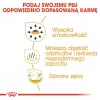 Sausas šunų maistas Royal Canin Chihuahua Adult 1,5 kg — Vištiena, 28% baltymų, maža/labai maža veislė