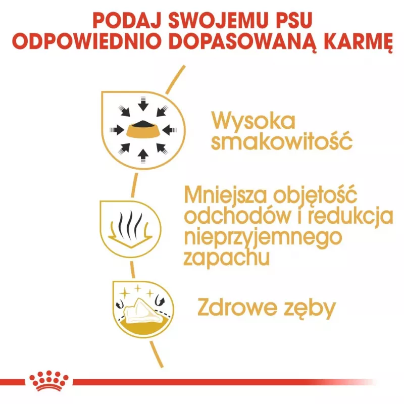Sausas šunų maistas Royal Canin Chihuahua Adult 1,5 kg — Vištiena, 28% baltymų, maža/labai maža veislė