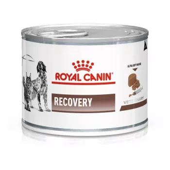 Royal Canin Recovery šlapias ėdalas šunims ir katėms, 195 g