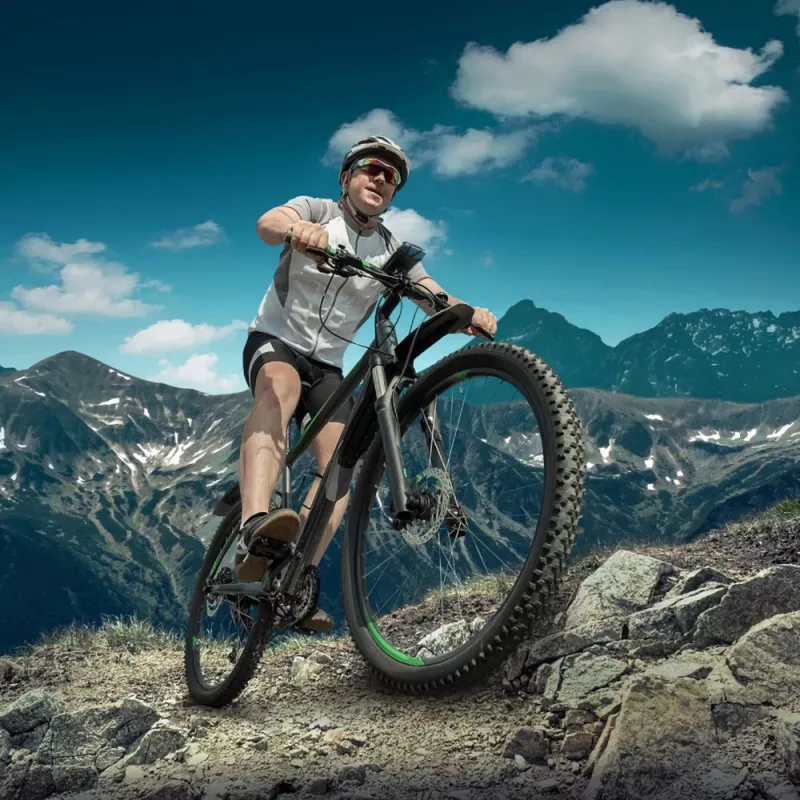 BIKEFLEX Bike Mount (Juodas)
