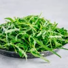 Sėklos juostoje — Apte Rukola (Eruca sativa) 6 m, skirtos auginimui namuose ir sode