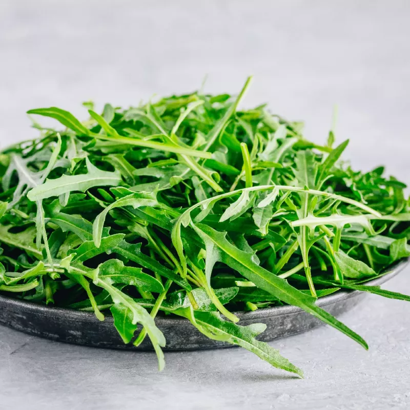 Sėklos juostoje — Apte Rukola (Eruca sativa) 6 m, skirtos auginimui namuose ir sode