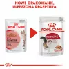 Šlapias kačių maistas Royal Canin Instinctive 12 x 85 g — paukštiena, suaugusioms, šlapimo takų sveikatos palaikymas