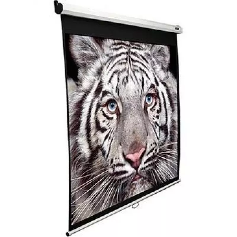 Projekcinis ekranas Elite Screens M135XWH2 135 coliai 16:9
