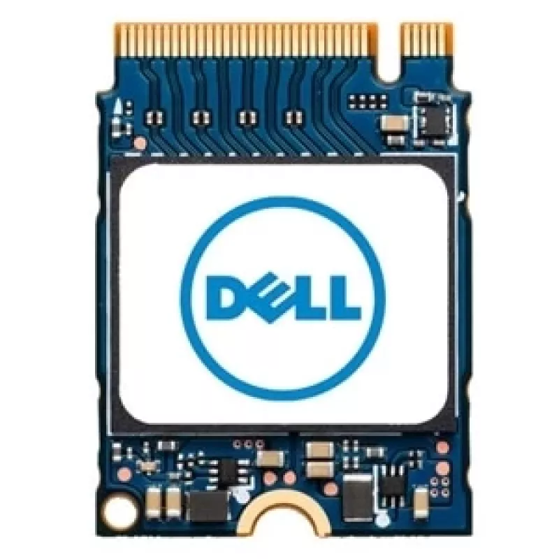DELL AB292880 vidinis kietojo kūno diskas 256 GB M.2 PCI Express NVMe