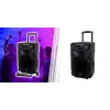 Nešiojamas karaokės garsiakalbis MANTA SPK5021PRO 20W, 12 colių žemų dažnių garsiakalbis, 80W RMS, Bluetooth, baterija iki 5 val., SD/USB, mikrofono ir gitaros įvestys