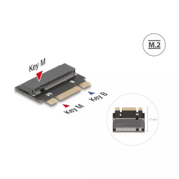DeLOCK 64342 Internal M.2 Adapter Host Interface Male Juoda