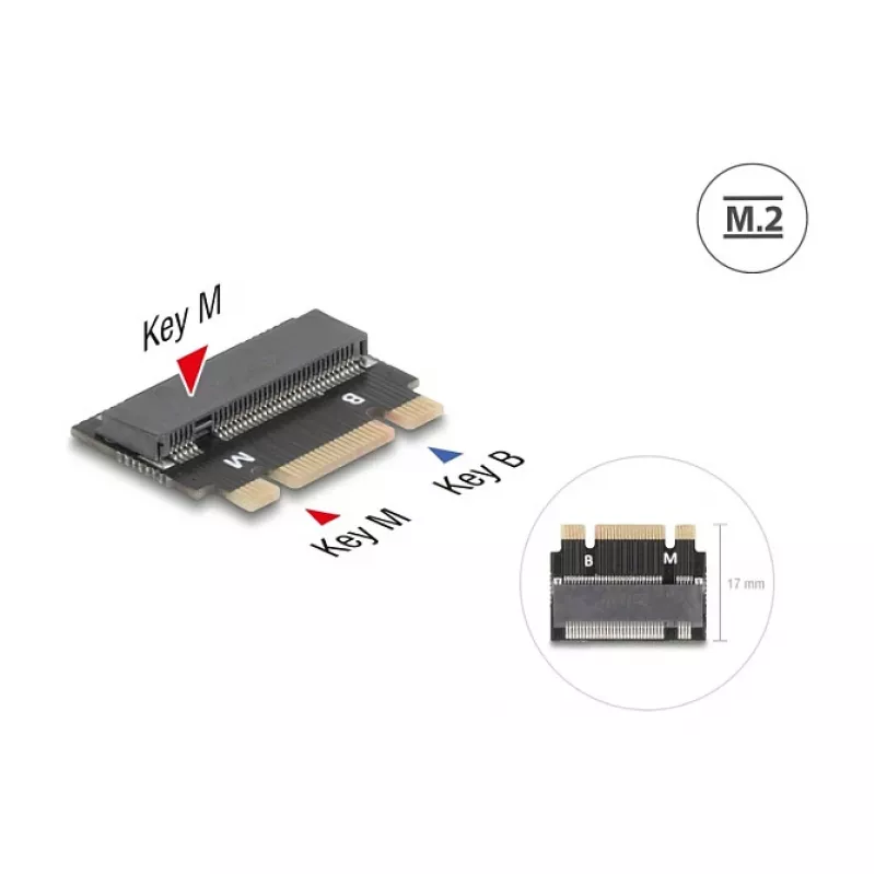 DeLOCK 64342 Internal M.2 Adapter Host Interface Male Juoda