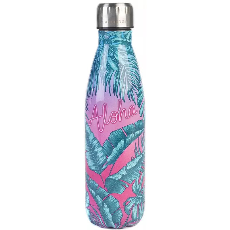 Termo kolba Cambridge CM06510 500 ml — Aloha Palm Beach dizainas