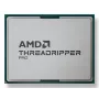 Procesorius AMD Ryzen Threadripper PRO 9955WX 4,5 GHz lizdas sTR5 aštuonių kanalų DDR5 64 MB L3 dėklas