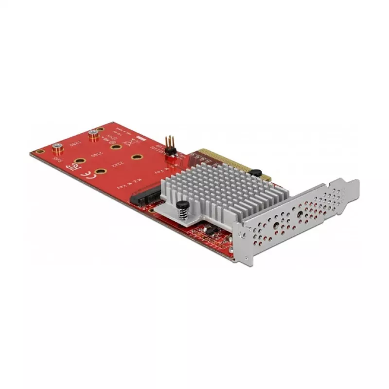 Vidinis M.2 adapteris DeLOCK 90305