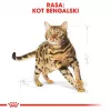 Sausas kačių ėdalas Royal Canin Bengal Adult 2 kg — paukštiena, 40 % baltymų, 18 % riebalų, virškinimo ir odos priežiūra