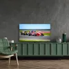 Thomson 50QG7C14 TV 127 cm (50) 4K Ultra HD Smart TV Wi-Fi Juoda