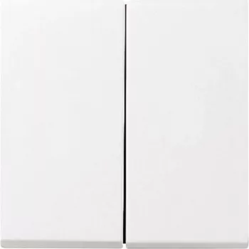 Gira 029503 tinklo įrenginys baltas