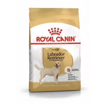Royal Canin BHN Labrador Adult sausas šunų ėdalas, 12 kg