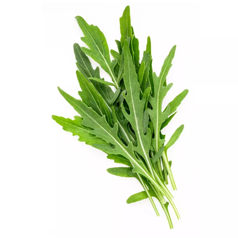 Sėklos juostoje — Apte Rukola (Eruca sativa) 6 m, skirtos auginimui namuose ir sode