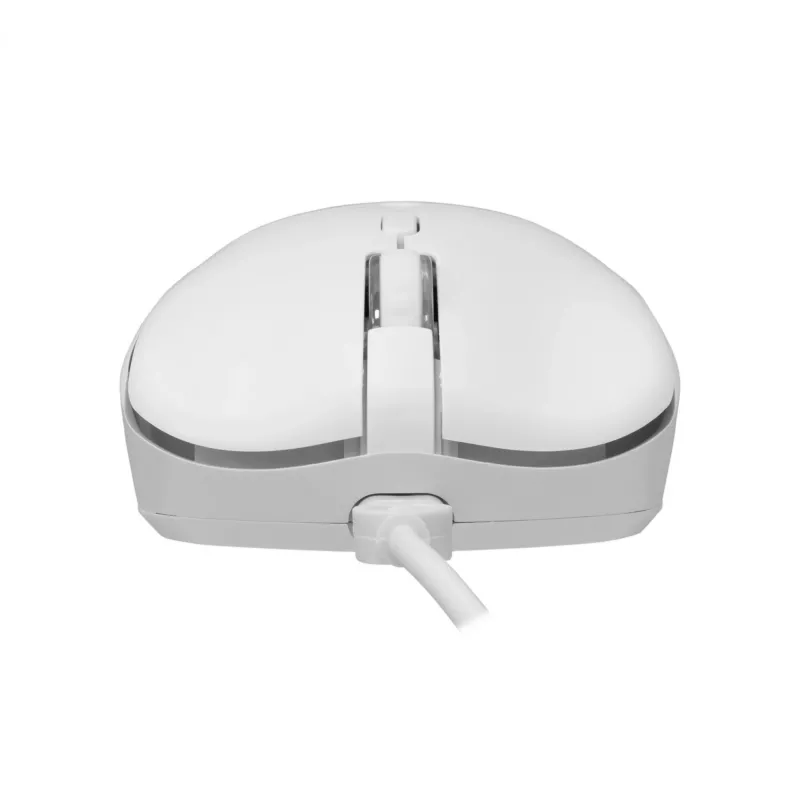 Klaviatūros ir pelės rinkinys Baracuda BGC-012 Orca White — baltas klaviatūros ir pelės rinkinys