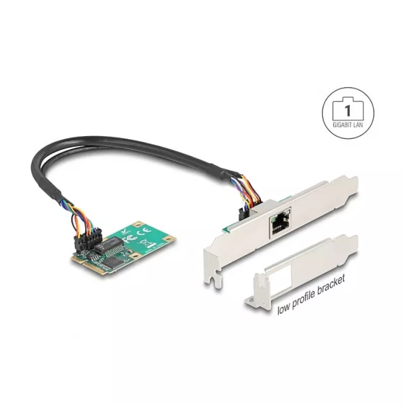 DeLOCK 95268 Vidinis RJ-45 adapteris Mini PCI Express 2,5 Gbit/s