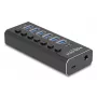 DeLOCK 64326 sąsajų šakotuvas USB 3.2 Gen 2 (3.1 Gen 2) Type-C 10000 Mbit/s juodas