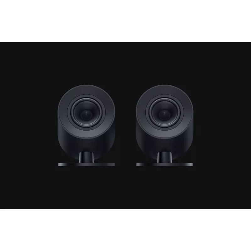Pilno diapazono garsiakalbis Razer Nommo V2 X 2.0 kanalai