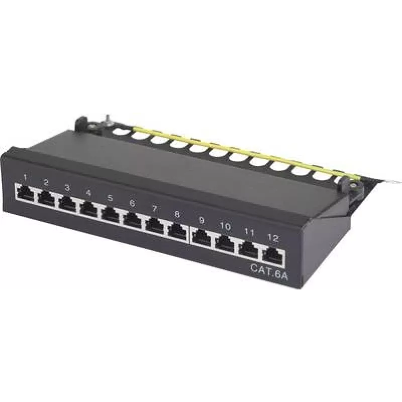 Renkforce 12 prievadų tinklo skydelis 25,4 cm (10) CAT 6a 1 HE (RF-3353154)