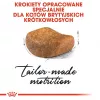 Sausas kačių maistas Royal Canin British Shorthair Adult 10 kg — paukštiena, baltymai 34%, riebalai 19%