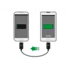 USB laidas DeLOCK 83570 USB 2.0 0,3 m USB B juodas