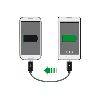 USB laidas DeLOCK 83570 USB 2.0 0,3 m USB B juodas