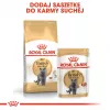 Sausas kačių maistas Royal Canin British Shorthair Adult 10 kg — paukštiena, baltymai 34%, riebalai 19%