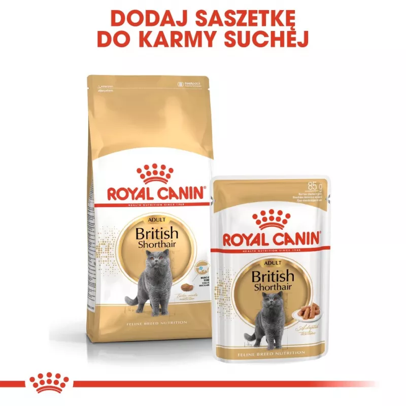 Sausas kačių maistas Royal Canin British Shorthair Adult 10 kg — paukštiena, baltymai 34%, riebalai 19%