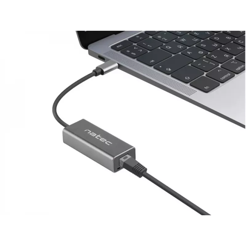 NATEC Cricket USB 3.2 Gen 1 Type-C pilkas eterneto šakotuvas 1000 Mbit/s