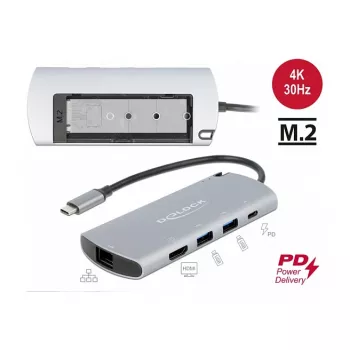 Dokų stotelė DeLOCK USB Type-C su M.2 lizdu