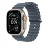 49mm Anchor Mėlyna Ocean Band Extension - Natural Titanium Finish