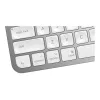 Klaviatūra MX Keys Mini Mac Pale 920-010526 pilka