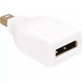 DisplayPort Mini M/FM DeLOCK DP Mini M DP FM balta
