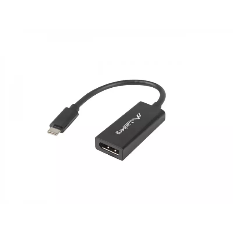 Vaizdo kabelio adapteris Lanberg AD-UC-DP-01