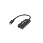 Vaizdo kabelio adapteris Lanberg AD-UC-DP-01
