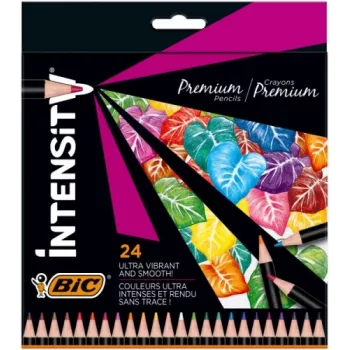 BIC spalvoti pieštukai Intensity 24 spalvos 967823