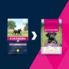 Sausas šunų maistas EUKANUBA Puppy Large Chicken 15 kg — šuniukų mišinys didelių ir milžiniškų veislių šuniukams, 26,5% baltymų