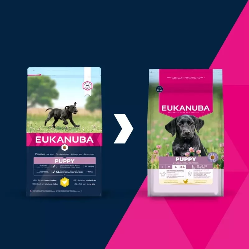 Sausas šunų maistas EUKANUBA Puppy Large Chicken 15 kg — šuniukų mišinys didelių ir milžiniškų veislių šuniukams, 26,5% baltymų